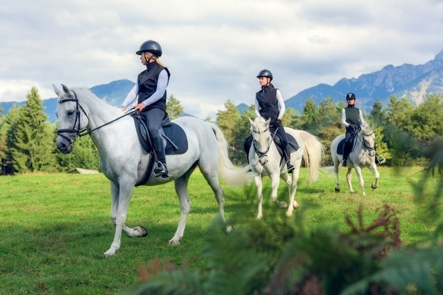 Friends Horseback Riding in the Countryside