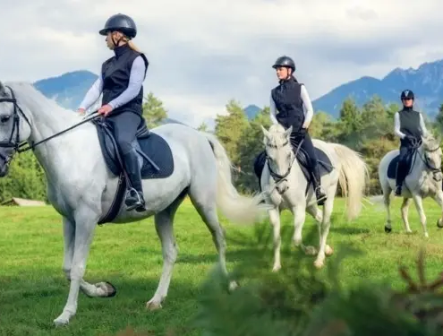 Friends Horseback Riding in the Countryside