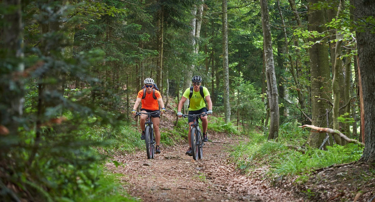 Bled Biking Trip: 2 People cycling in the forrest in Slovenia