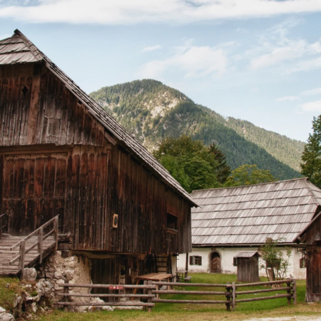 eBike Radovna Tour - Radovna Valley