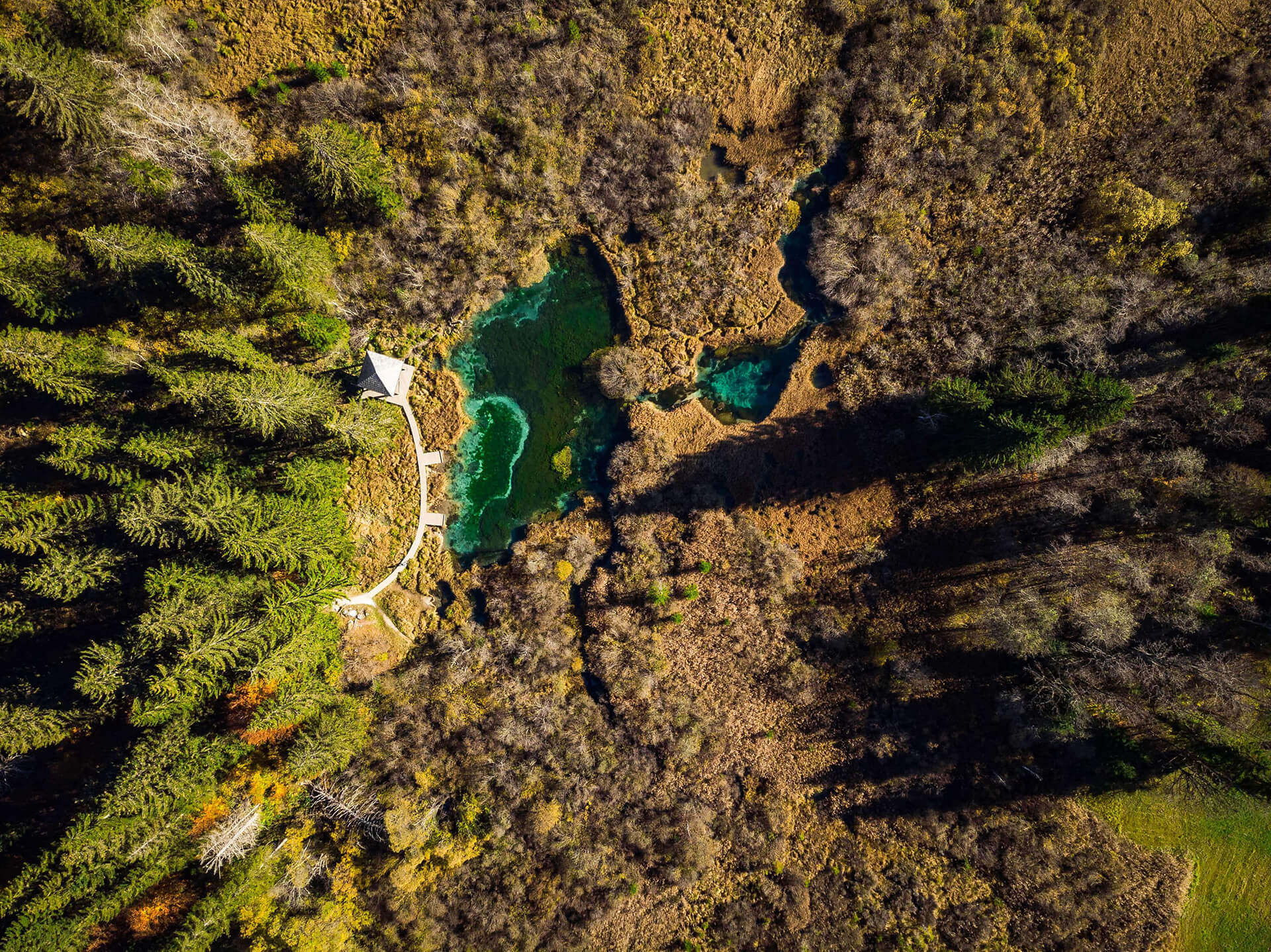 Beautiful Colors of Lake in Zelenci