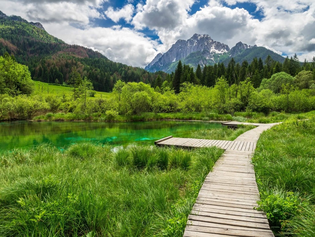 Lake Zelenci