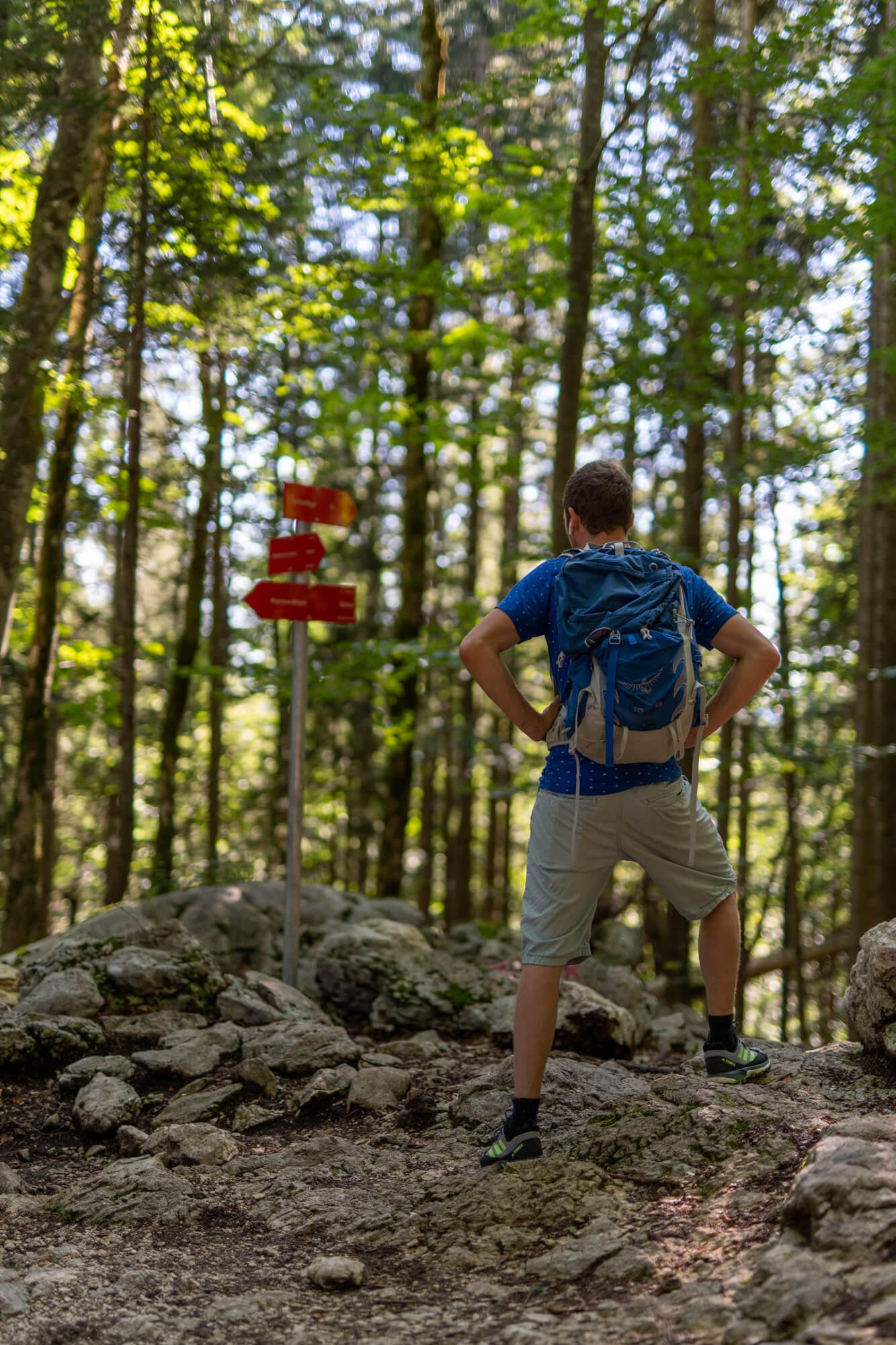 Hiker in the Forest above Planina Blato Hiker in the Forest above Planina Blato