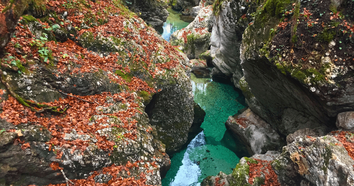 Korita Mostnice in de herfst, met de smaragdgroene Mostnica-rivier die door een bos met levendige herfstkleuren stroomt.
