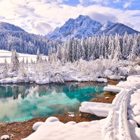 Slovenia winter activities: Zelenci Springs in winter, featuring vibrant emerald green water surrounded by snow-covered trees and frosted vegetation. The contrast of the clear water against the white snow creates a tranquil and picturesque winter scene.