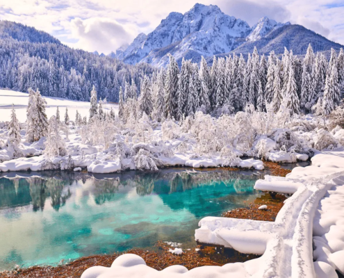 Slovenia winter activities: Zelenci Springs in winter, featuring vibrant emerald green water surrounded by snow-covered trees and frosted vegetation. The contrast of the clear water against the white snow creates a tranquil and picturesque winter scene.