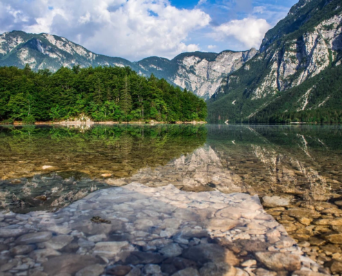 Slovenia Tours: Crystal-clear waters of Lake Bohinj reflect surrounding mountains and forests under a bright blue sky with scattered clouds.