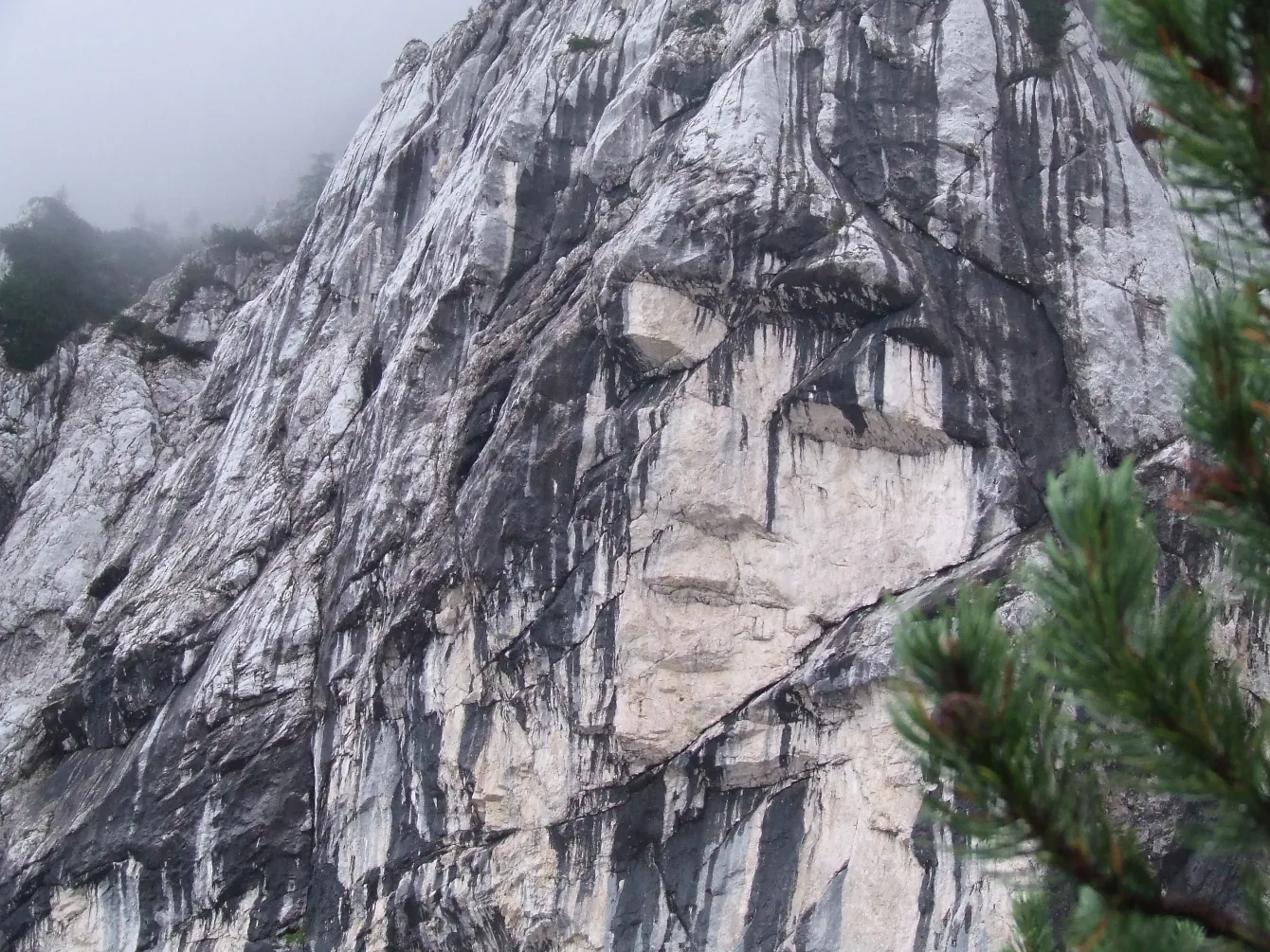 Triglav National Park Tour: Steep rocky cliff with human-like face visible with mist and scattered pine trees.