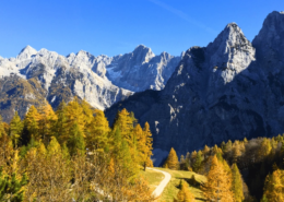 Bled Tours: A winding mountain road at Vrsic Pass surrounded by golden autumn trees, leading toward the Julian Alps under a bright blue sky.