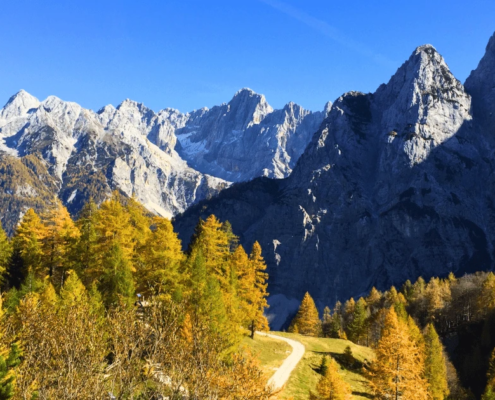 Bled Tours: A winding mountain road at Vrsic Pass surrounded by golden autumn trees, leading toward the Julian Alps under a bright blue sky.