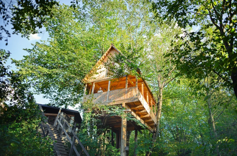 Treehouse-style cabin nestled among green foliage.