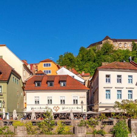 Lake Bled to Ljubljana City Day Tour: Ljubljanica River and Ond Ljubljana Town