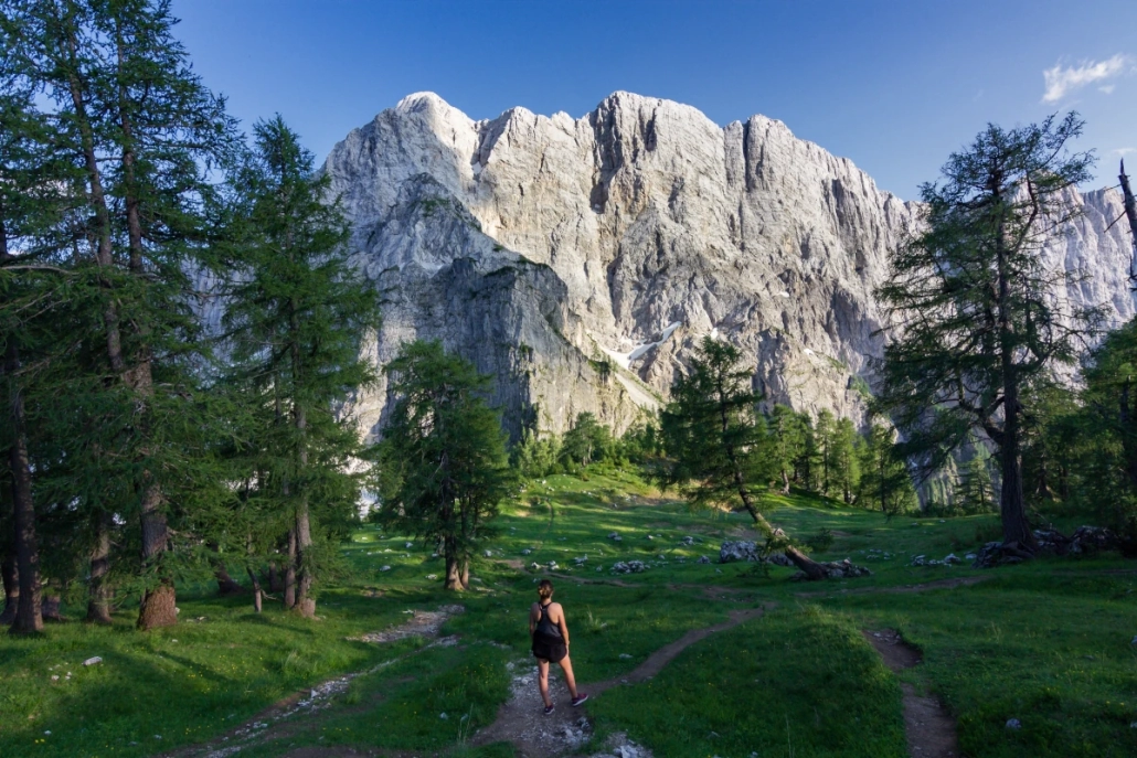 Alpine valley with dramatic limestone mountains and a hiking trail in Slovenia