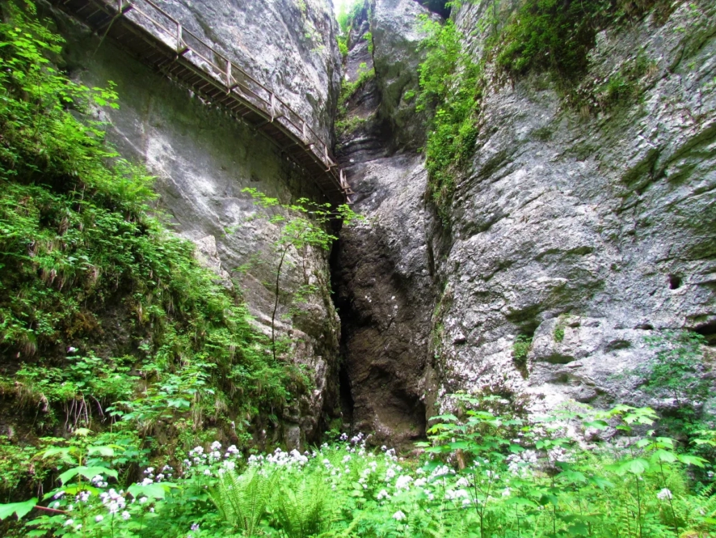 Pokljuška Gorge with narrow rock walls and lush green vegetation in Slovenia